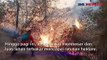 Kebakaran Lereng Gunung Merbabu, 100 Ha Lahan Terdampak