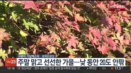 [날씨] 주말 맑고 선선한 가을…한낮 20도 안팎