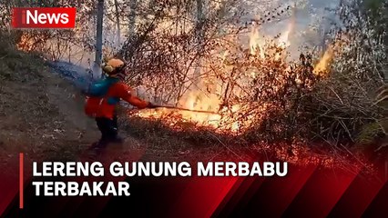Mencekam! Kebakaran Lereng Gunung Merbabu Hanguskan 100 Hektare Lahan