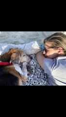 Perrito viejito recibe una conmovedora despedida junto al mar