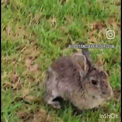 Jamor centro de treino