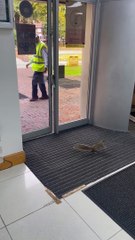 Body Slamming Squirrel Struggles With Doors