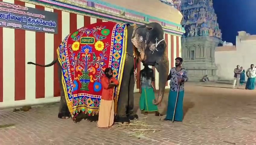 விநாயகர் பாடலை கேட்டு ஆனந்த தாண்டவம் ஆடிய கோவில் யானை; இணையத்தில் வைரலாகும் வீடியோ