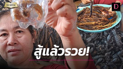 ชีวิตพลิกผัน! หันทำอาชีพสุดสะพรึง เลี้ยง "อสรพิษ" รายได้สุดปัง | นิยายชีวิต เดลินิวส์ 29/10/66