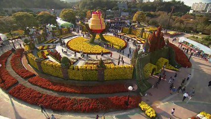 [날씨] 대체로 맑고 온화한 주말...함평 국향대전 '북적' / YTN