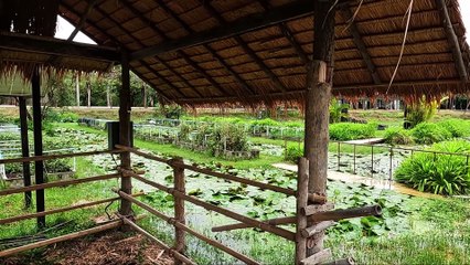 Thaïlande : Sukhothai (bio)