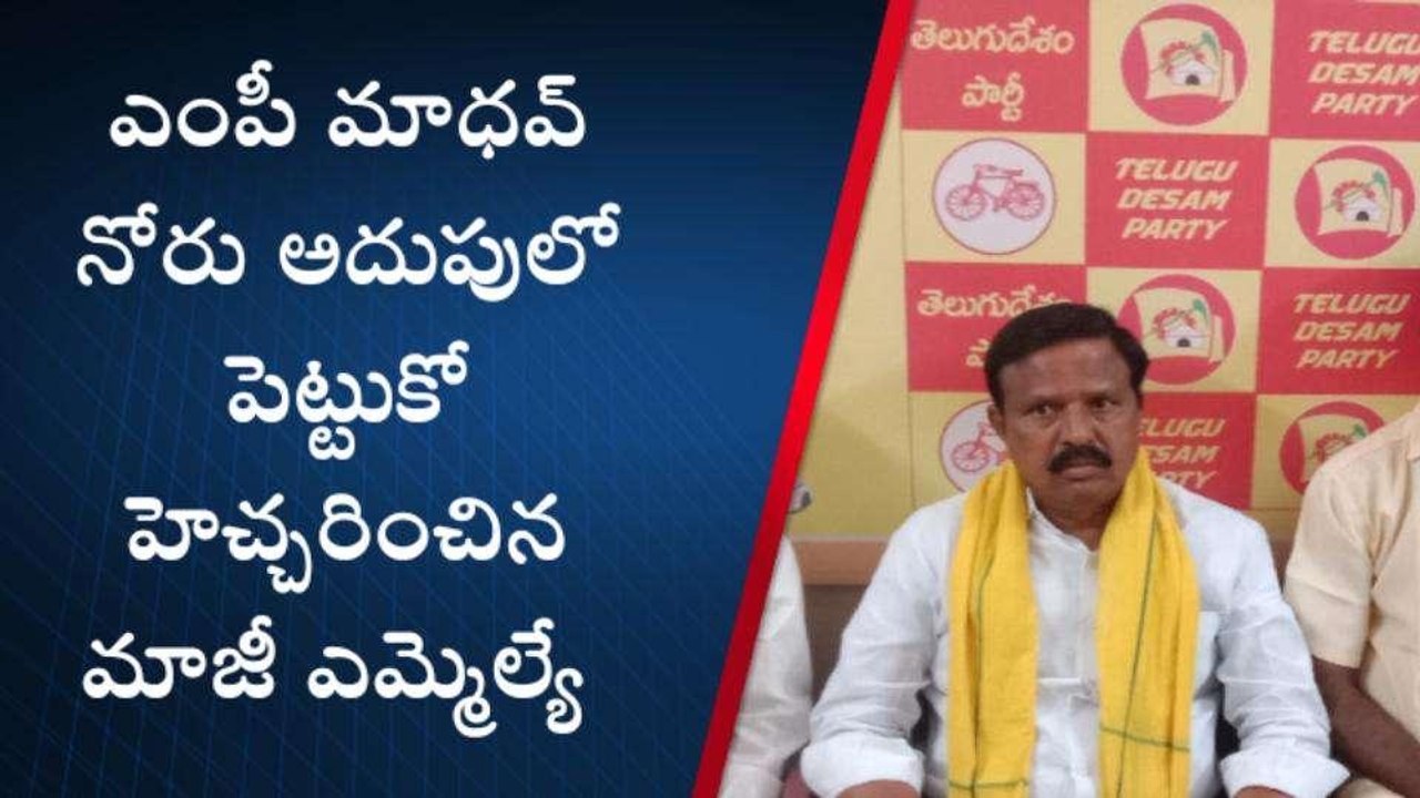 శ్రీసత్యసాయి జిల్లా: గోరంట్ల మాధవ్ కి మాస్ వార్నింగ్ ఇచ్చిన టీడీపీ