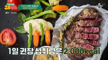 저탄고지 식단의 충격적인 비밀? 건강한 다이어트 식단이란 무엇일까