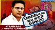 'Congress real white elephant of this country', says Telangana minister KTR | Oneindia News