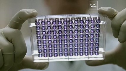 Scientists in Brazil are developing the first vaccine that could help break cocaine addiction