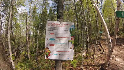 Auto Hébertville Sentier du Lac Kénogami 25 Mai 2023