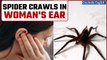 Taiwan: Shocking Medical Case! Spider Found in Woman's Ear Leaves Doctors Astonished | Oneindia News