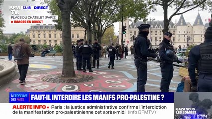 Download Video: Malgré l'interdiction, la manifestation pro-Palestine à Paris pourrait quand même avoir lieu