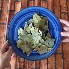 Savez-vous ce qui se passe lorsque vous brûlez des feuilles de laurier dans votre maison