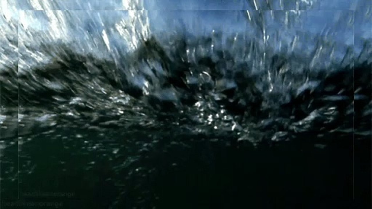 beach sound effects video Dailymotion