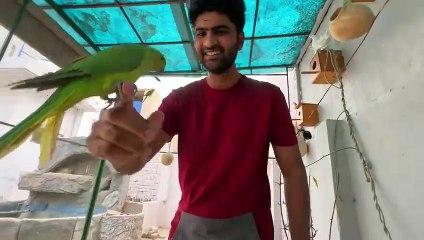 Hum Yahan Mud Rabbit House Bnwa Rhy hain