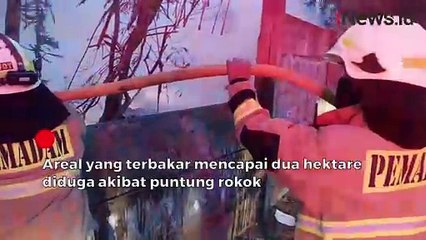 2 Hektare Lahan Terbakar di Cipayung, Diduga Akibat Puntung Rokok Dibuang Sembarangan
