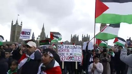 Pro-Palestine protesters march in central London