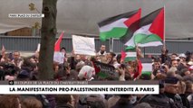 La manifestation pro-palestinienne interdite à Paris