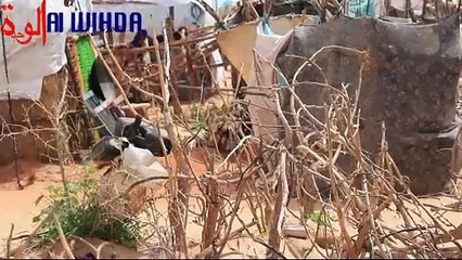 Tchad : Mahamat Amine, réfugié soudanais au camp d'Adré