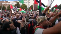 Corteo pro Palestina a Roma, strappata bandiera di Israele dalla Fao