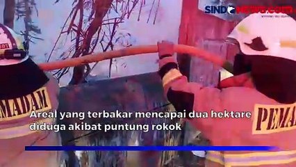 下载视频: Diduga Akibat Puntung Rokok Dibuang Sembarangan, 2 Hektare Lahan Terbakar di Cipayung