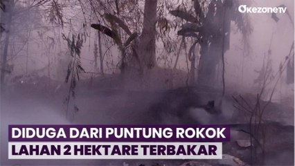 Lahan 2 Hektare Terbakar di Cipayung, Diduga Akibat Puntung Rokok Dibuang Sembarangan