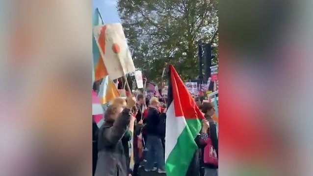 Protesters chant ‘free Palestine’ through London in demonstration calling for ceasefire