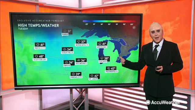 Who is the real Bernie Rayno?