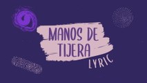 La Arrolladora Banda El Limón De René Camacho - Manos De Tijera (LETRA)