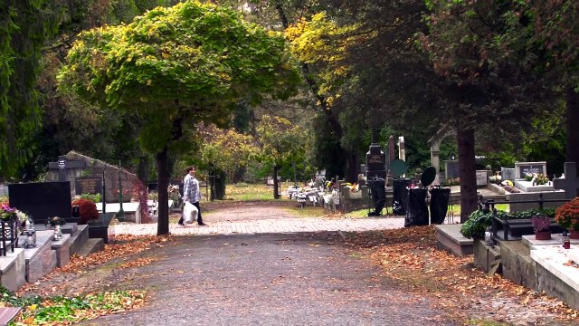 Dziennik Zachodni / Ruch drogowy Wszystkich Świetych Cieszyn / Andrzej Kornaś