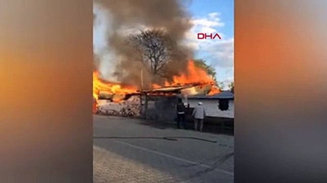 Bahçedeki otları temizlemek için yakılan ateş, ev ve ahırı da yaktı