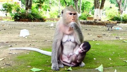 Adorable Baby Monika Looking At Mother Drinking Beverage With Pithiness