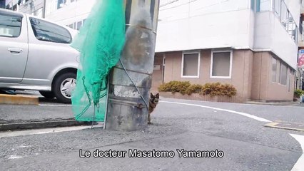 Professeur Yamamoto part à la retraite