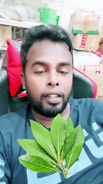 copy_F13FAA84-2800-4988-9520-FDF44B4AF26F