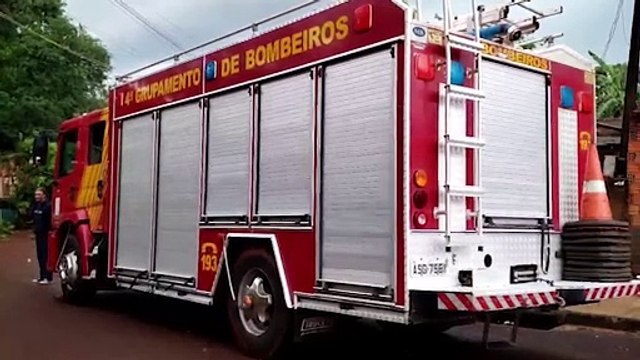 Queda de árvore mobiliza Corpo de Bombeiros ao Melissa
