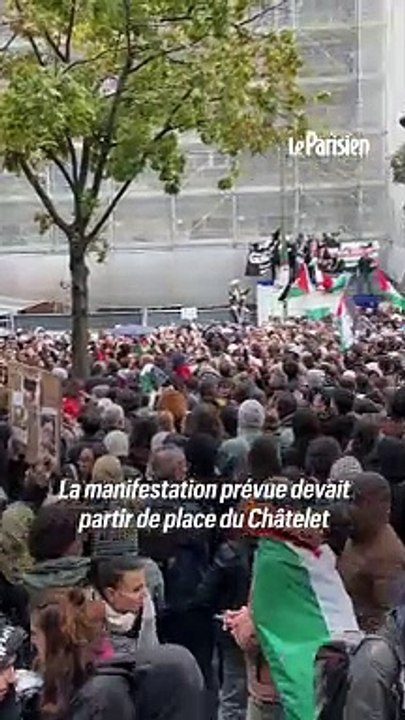 «Nous sommes là au nom des palestiniens» : des milliers de manifestants bravent l'interdiction à Paris
