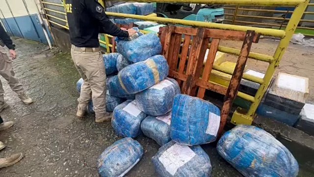 Caminhão com mais de 20 toneladas de maconha pode ser maior apreensão da história em SC