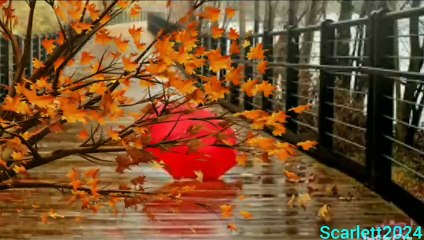 Music without words 7