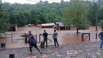 Casas são levadas pelo rio em Laranjeiras do Sul
