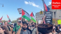 'Flood Brooklyn For Palestine' Demonstrators March Through New York City Borough Brooklyn