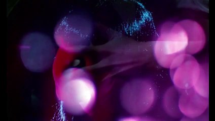 La ruée des Vikings