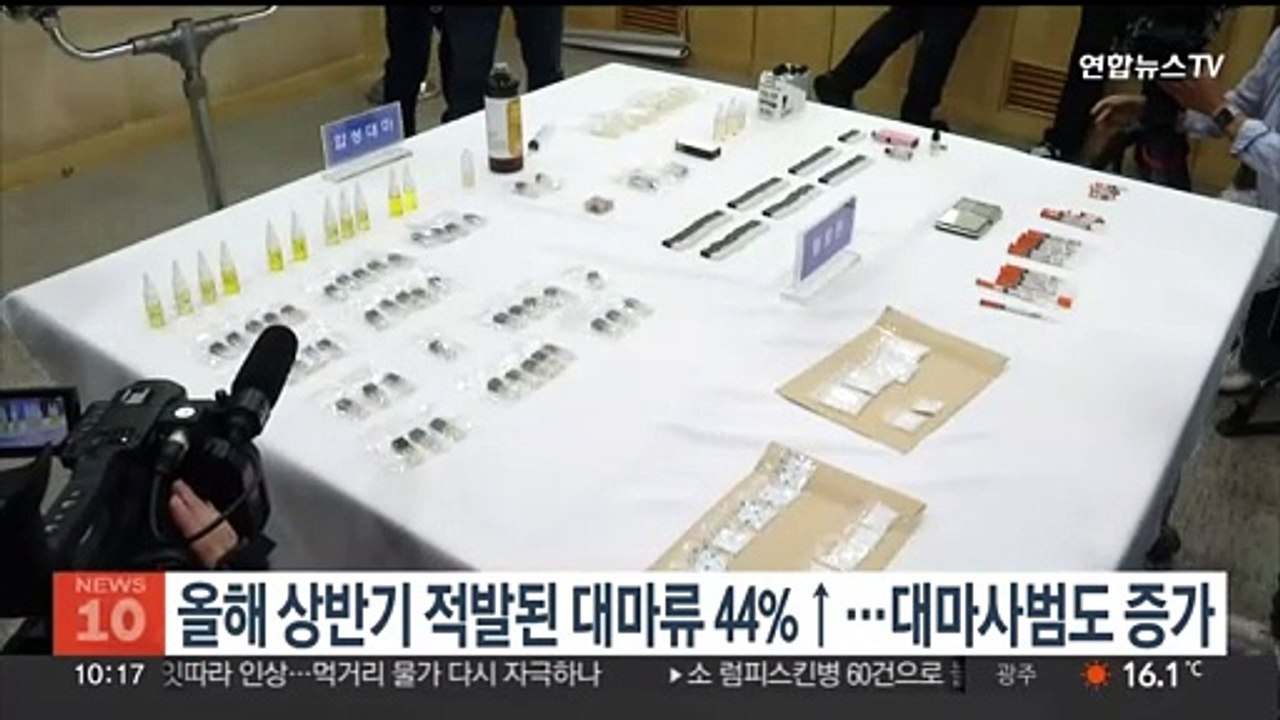 올해 상반기 적발된 대마류 44%↑…대마사범도 증가