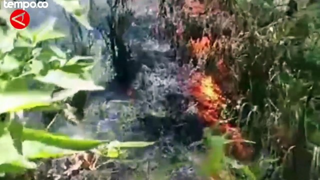 Kebakaran Hutan di Gunung Merbabu Meluas ke Wilayah Boyolali dan Magelang