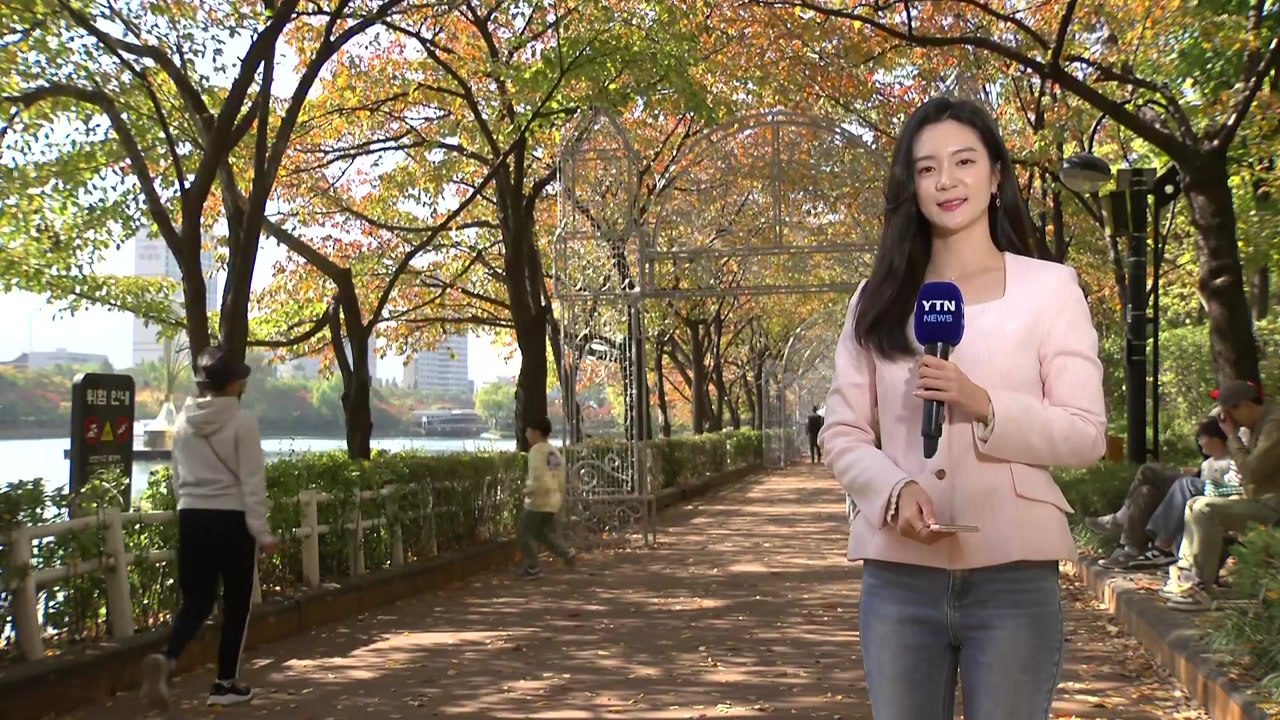 [날씨] 쾌청한 가을...서울 도심 단풍·루미나리에 빛 축제 / YTN