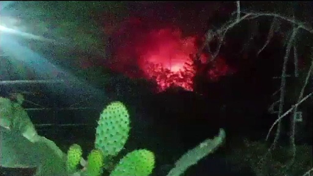 vid-20231029-wa0000
