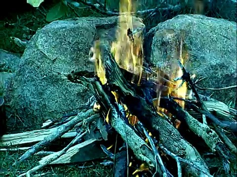 Banh xe lang tu - Thanh Loc & Huu Nghia & Minh Nhi