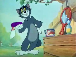 Tom and Jerry Classic Collection Episode 013 - Zoot Cat [1944]