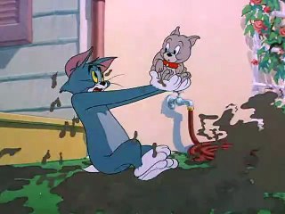 Tom y Jerry en Español Completa, Cachorro Bañado “Slicked Up Pup”