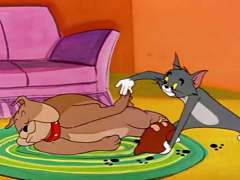 Tom y Jerry en Español Completa, La Foto de Tom “Tom's Photo Finish”